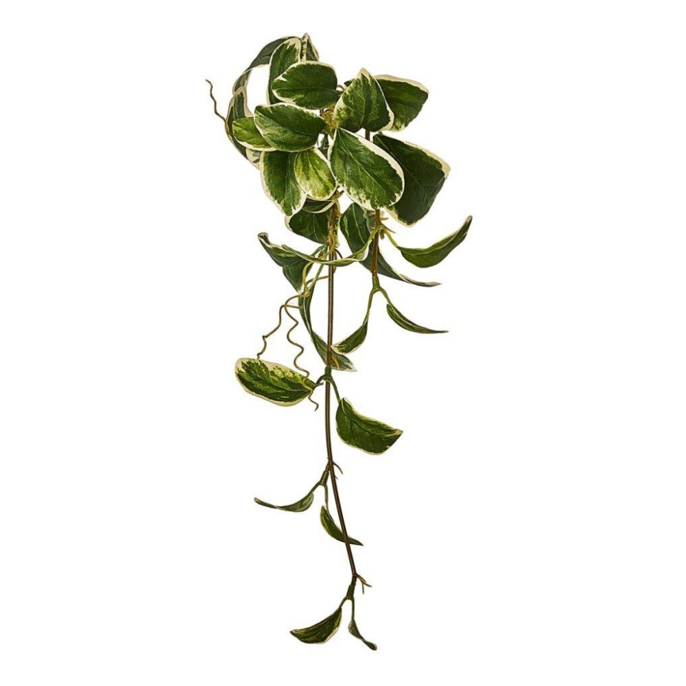 CASCANTE PRISOMIA X32 CM 37 WI